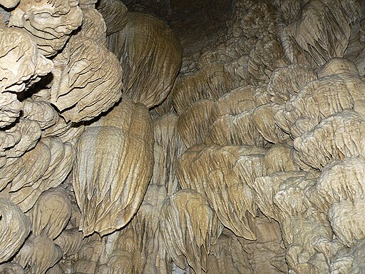 A wall of flowstone at The Oregon Caves, Oregon Caves National Monument, USA